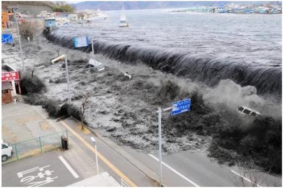 Damage Conditions by the Earthquake and Tsunami at the