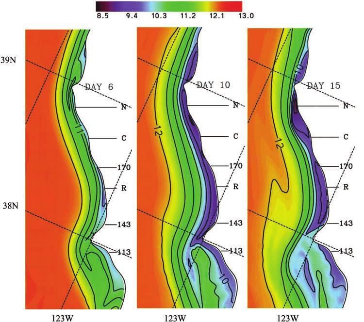 GAN AND ALLEN: MODELING RESPONSE TO UPWELLING WIND RELAXATION 6-7 Figure 5b. Surface temperature ( C) on days 6, 10, and 15. The contour interval is 0.5 C. north of Pt. Reyes and Pt. Arena.
