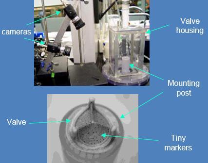 The proposed strain measurement system will be comprised of a physical testing mechanisms which includes a fluid chamber which houses the heart valve being tested, a strain measurement system to