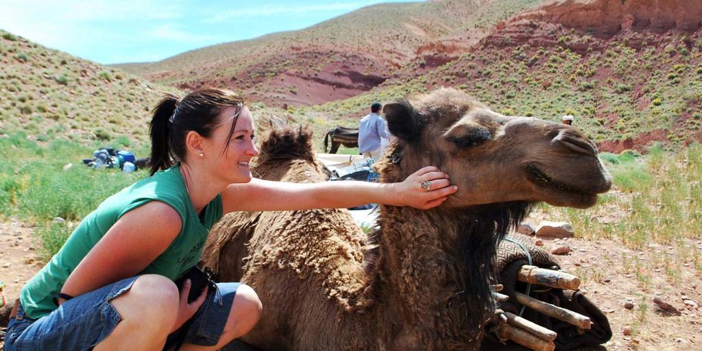 8 days Starts/Ends: Marrakech Experience the magic of Morocco on an exciting adventure for families with teens aged 12 years and over.