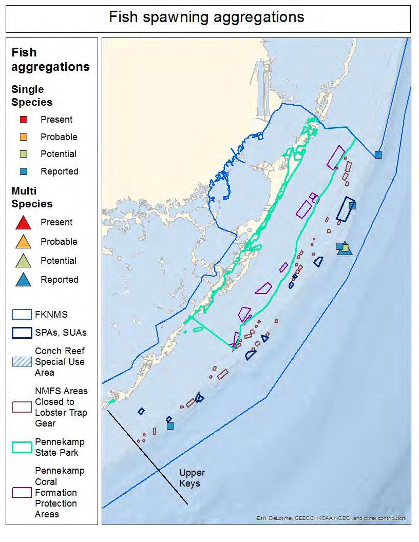 Where are locations of known fish aggregations?
