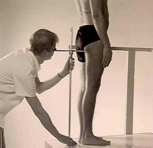 GLUTEAL FURROW HEIGHT Standing surface -- gluteal furrow point. PROCEDURE: Subject stands on a table in the anthropometric standing position.