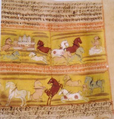 The most common type of these manuscripts in Rajasthan is known as the Shalihotra (alternately transcribed as Salhoter).