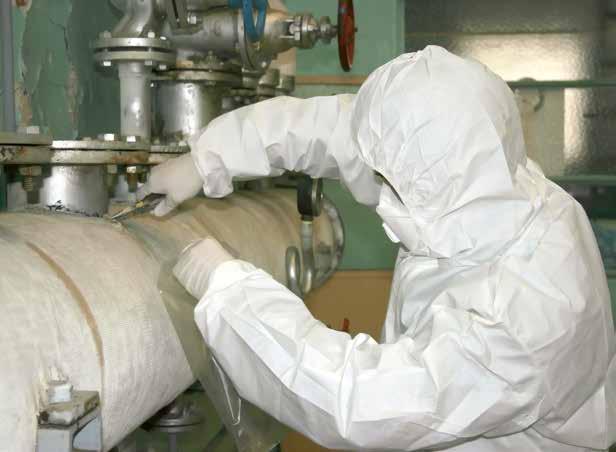 Critical Risk 10 Working with Asbestos (ACM) 10.