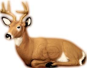 5 H (feet to top of antler) 40 H (feet to top of head) x 43 L x 10 D For the serious backyard shooter looking for realism and quality at an economical price, this full-sized deer features good