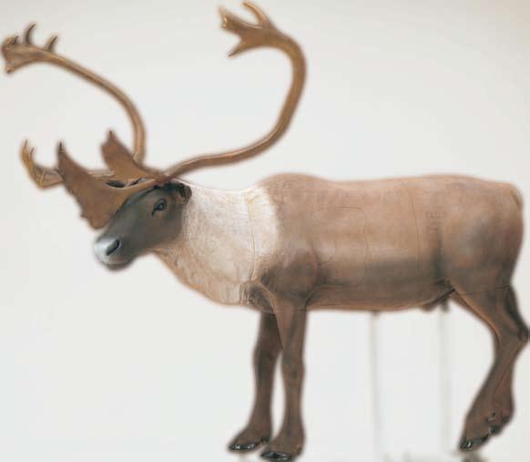 largest caribou target on the market, ours features a four-legged design and a rack sized for the record books.
