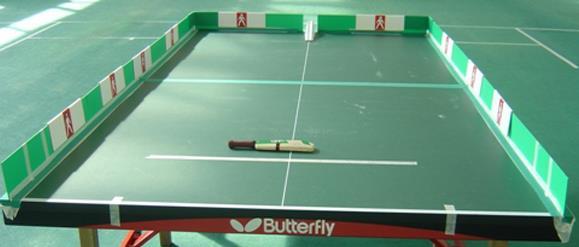 Table Cricket Table Cricket is played on a table tennis table or something similar with side panels, sliding fielders, a ball bouncer, weighted plastic ball and a wooden bat.