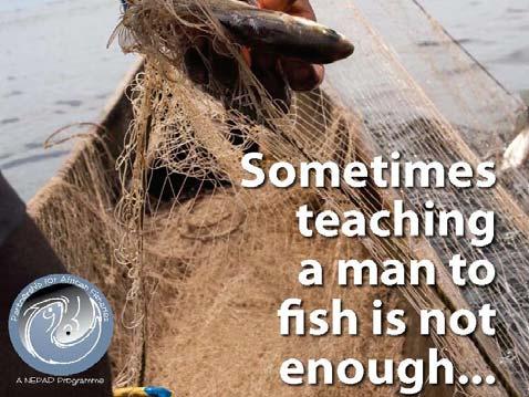 International Initiatives Illegal Fishing