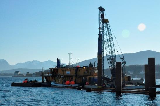 pile-driving strikes Impulse noise from pile-driving operations is well pervasive in the marine environment up to 80 km,