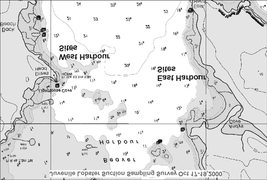 Figure 1. General location of dive surveys conducted in Fundy Isles region in early 19 s and place names used in the text. Figure 2. Sampling areas at Beaver Harbour, based on 2000 sampling locations.