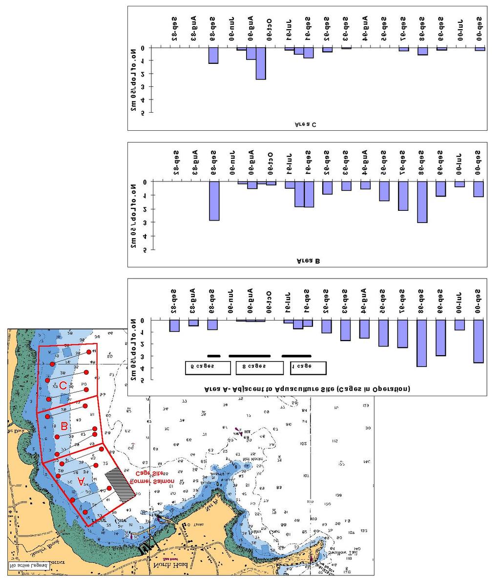 Figure 7. Lobster density during summer months, 1982-2000, at Flagg Cove, adjacent to the port of North Head, Grand Manan.