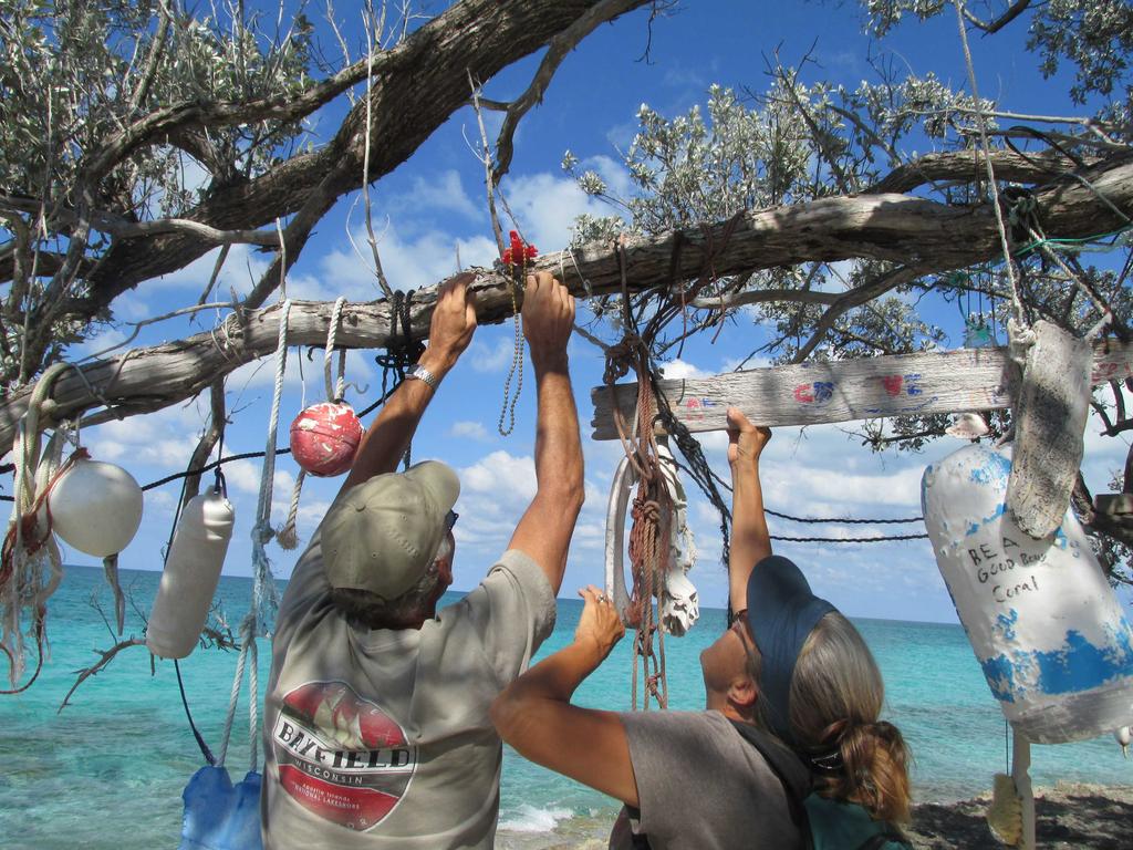 Tradition requires that visiting yachtsmen leave a token on this tree when visiting the uninhabited