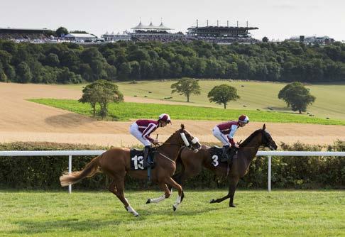 SEASON FINALE HARVEST, HOPS & HORSERACING SUNDAY 15 OCTOBER The final meeting of the season features several handicaps, the best of which being the sixth race on the card over a distance of one mile