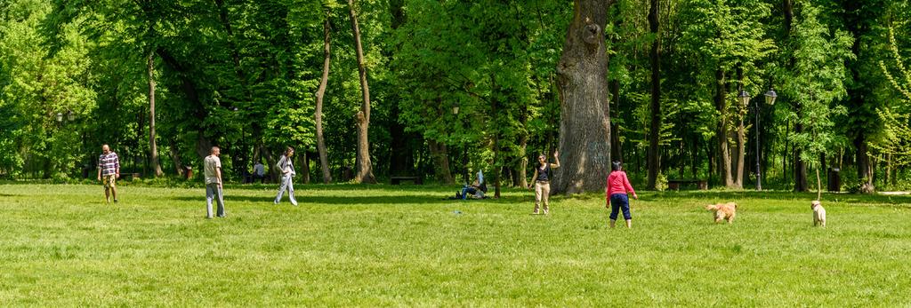 INTRODUCING DISC GOLF TO A COMMUNITY As one of the fastest growing sports, disc golf has the potential to attract players of all skill levels.
