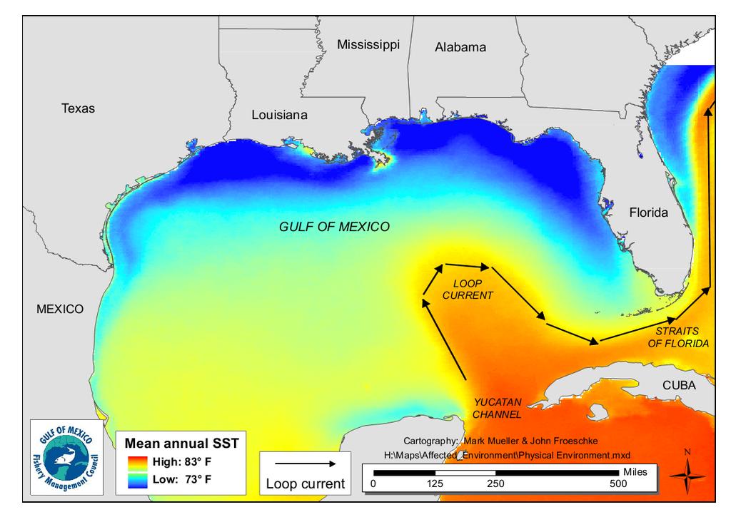 CHAPTER 3. AFFECTED ENVIRONMENT 3.1 Description of the Physical Environment The Gulf of Mexico has a total area of approximately 600,000 square miles (1.