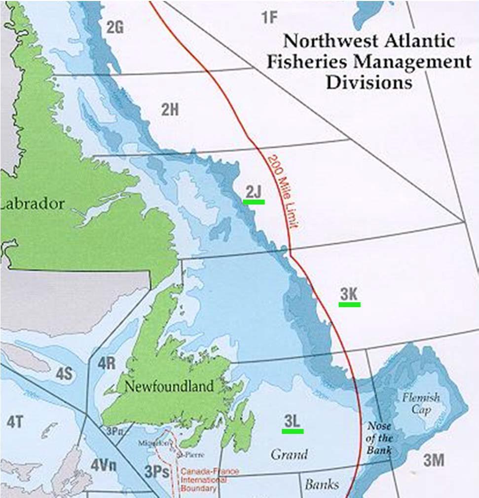 Northern Cod areas Stock covers NAFO Divisions 2J3KL.