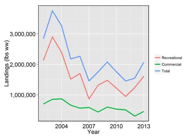 Figure 1.2.1. Recreational, commercial, and total landings in pounds whole weight of greater amberjack from 2002 through 2013.
