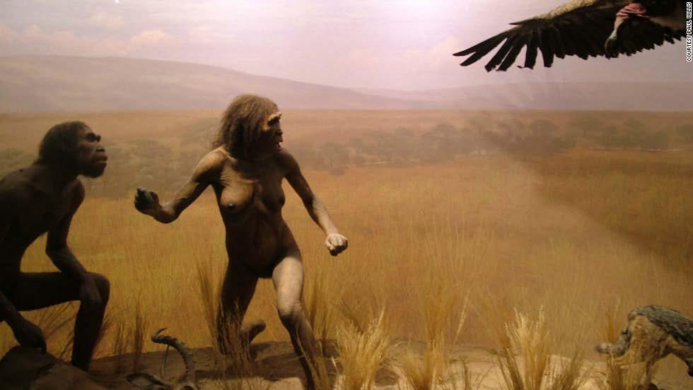 Modern human (Homo sapiens) emerged in East Africa about 200 ky, and evolved from earlier forms that ultimately go back to bipedal apes.