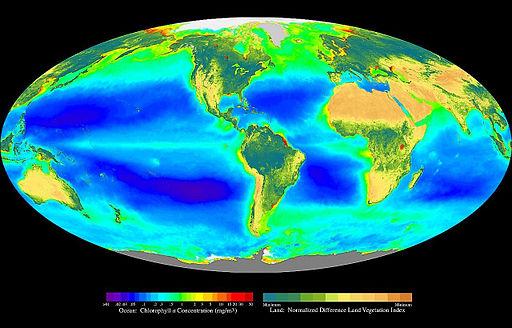 Satellite data showing the spatial distribution of photosynthetic pigments in the ocean, which are