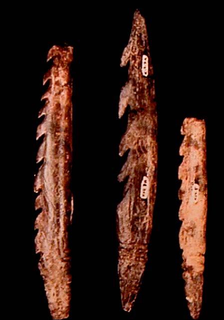 First evidence of harpoons, Congo,