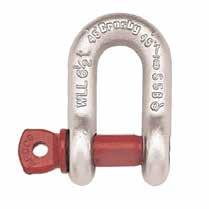 211 90 112 1017 10 2450 75 38 234 98 122 1627 10 2660 Galvanised Screw Pin Chain (DEE) Shackles (G-210) SML (Kgs) d (mm) D (mm) A (mm) C (mm) 500 6 8 12 22 750 8 10 14 26 1000 10 11 17 32 1500 11 13