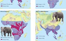 Natural Capital Degradation Natural Capital Degradation: Reduction in the Ranges of Four Wildlife Species Causes of