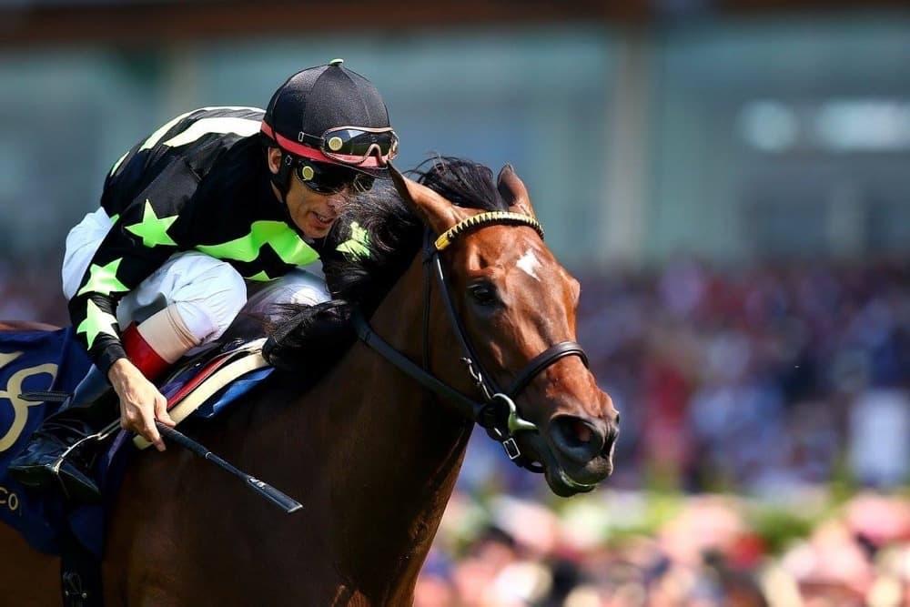 TURF SPRINT 6 The Turf Sprint will be run at a distance of 5 furlongs for the first time since 2011, when the favorite,