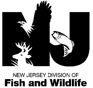 Department of Environmental Protection 2009 NJ Wild Turkey Hunting Season Information www.njfishandwildlife.
