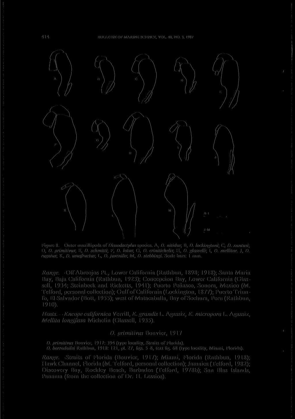 414 BULLETIN OF MARINE SCIENCE, VOL. 40, NO. 3, 1987 Figure 8. Outer maxillipeds of Dissodactylus species. A, D. nitidus; B, D. lockingtoni; C, D. xantusr, D, D. primitivus; E, D. schmitti, F, D.