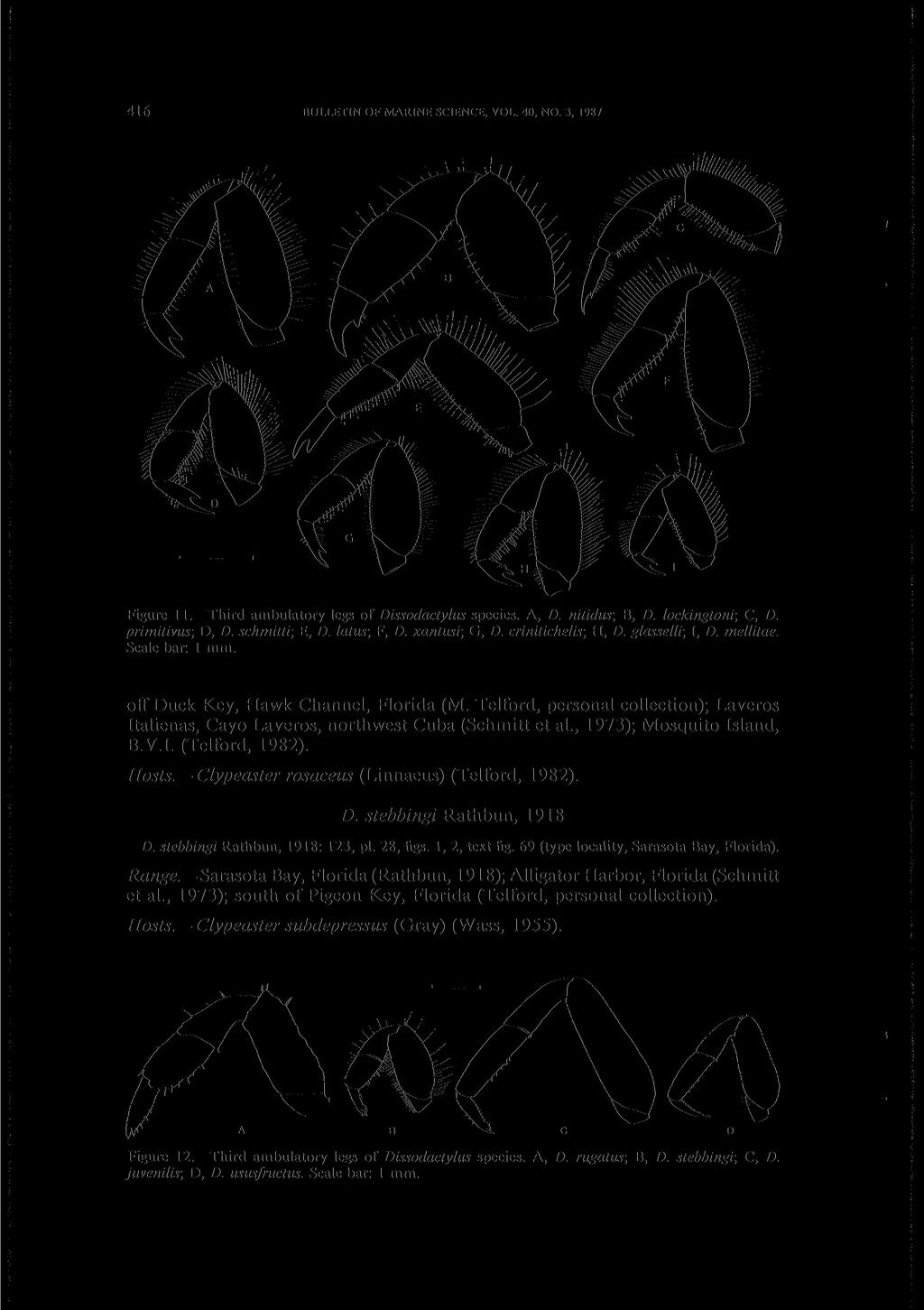 416 BULLETIN OF MARINE SCIENCE, VOL. 40, NO. 3, 1987 Figure 11. Third ambulatory legs of Dissodactylus species. A, D. nitidus; B, D. lockingtoni; C, D. primitivus; D, D. schmitti; E, D. latus; F, D.