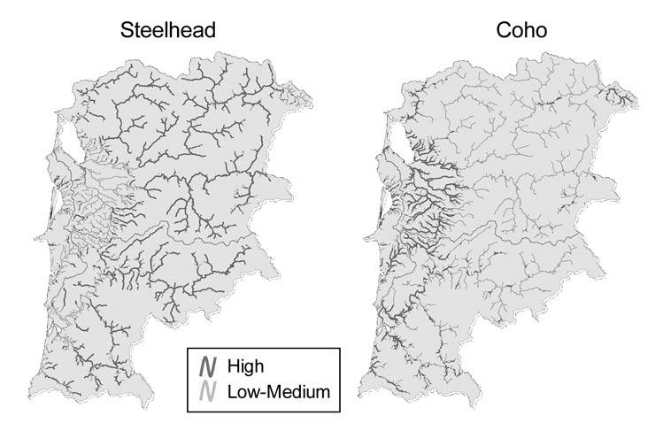 potential for coho and other reaches would have high potential for steelhead, explains Burnett.
