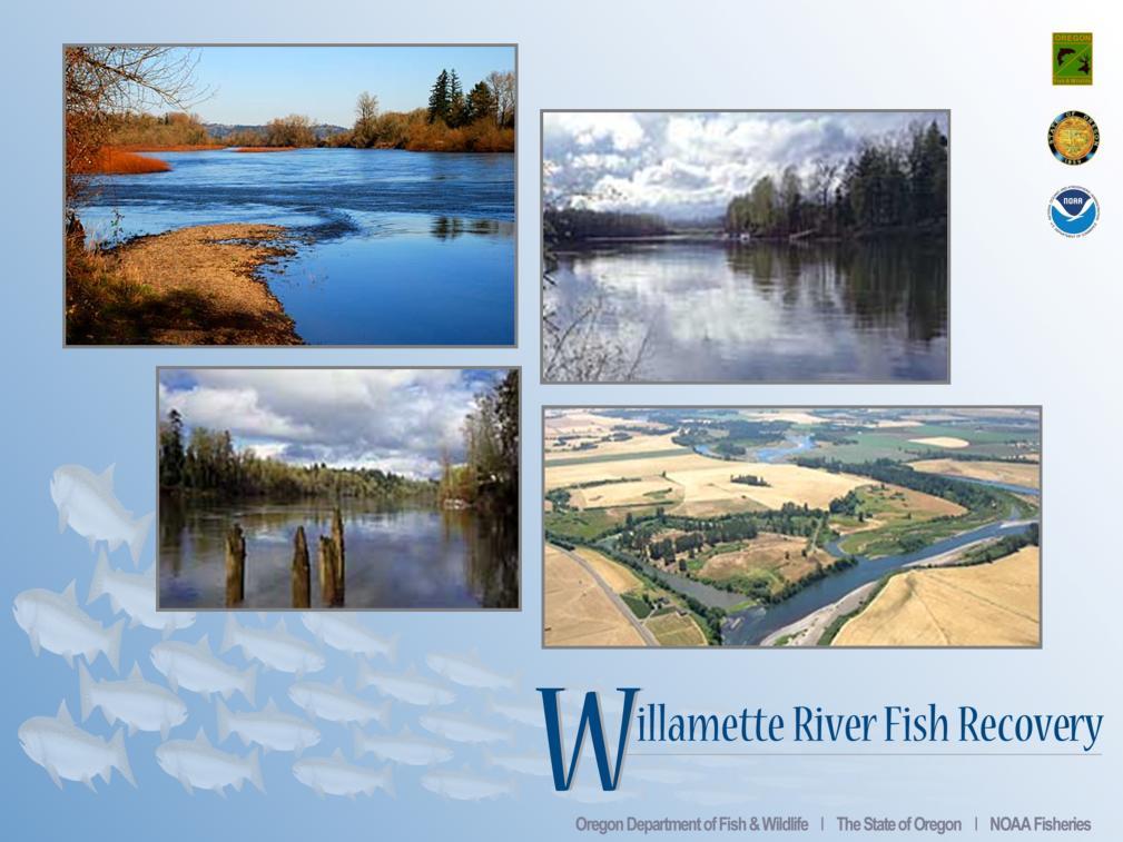 The Willamette River Basin is truly The Land at Eden s Gate, home to most Oregonians and diverse fish and wildlife.