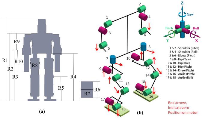 values for the robot is obtained by scaling the human proportion data by 3.5 times.