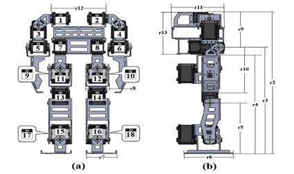 action and (b) ankle pitch action. After performing mechanical analysis within the SolidWorks the parts are virtually assembled to form the complete robot.