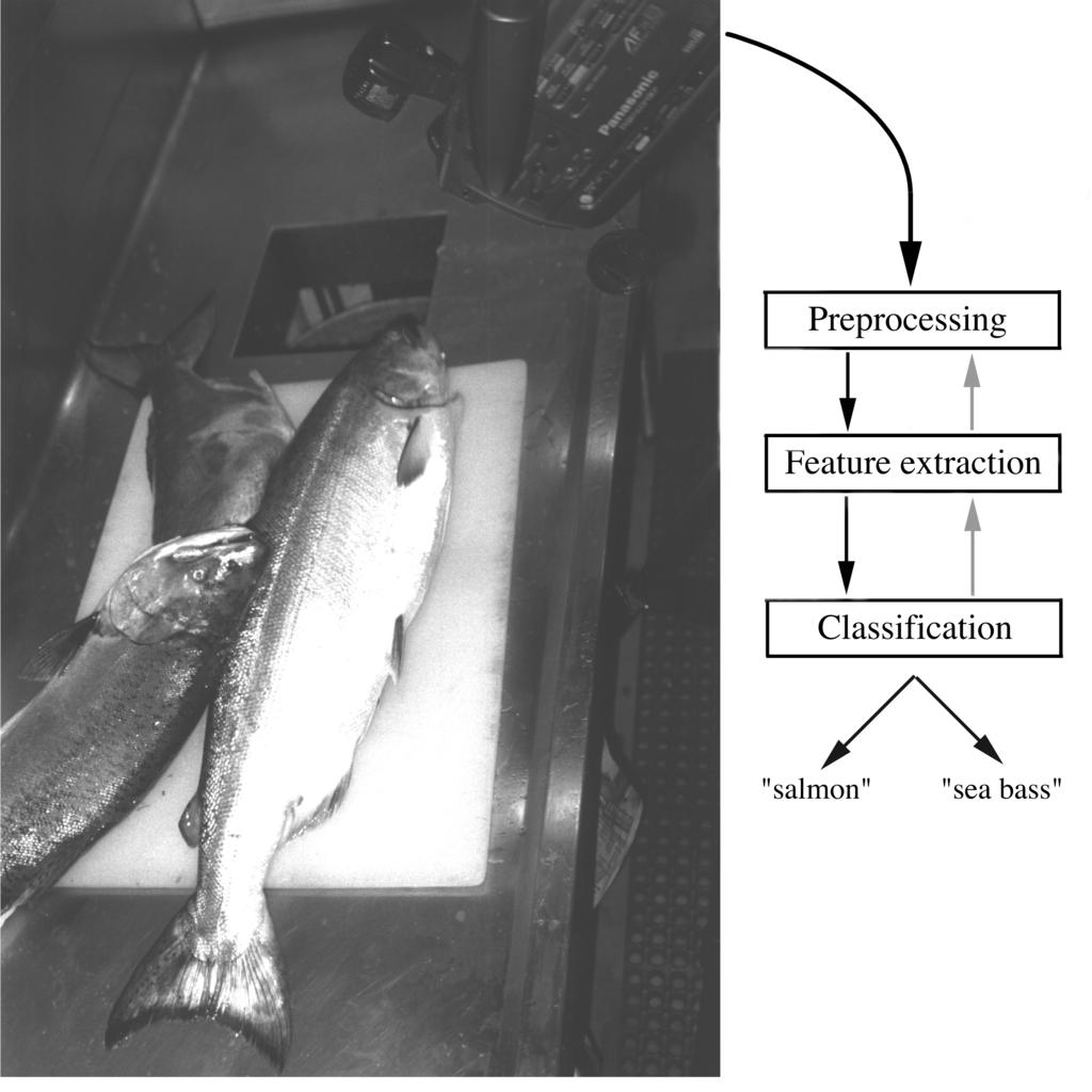 Pattern Recognition By Example Example: Sorting Fish Pattern Recognition System Requirements Set up a camera to watch the fish coming through on the conveyor belt.