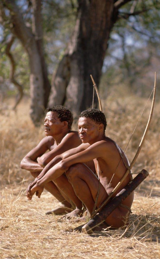 The Bushmen moved every day during the rainy season in search of greens to eat. They constructed simple shelters against the rain at night.