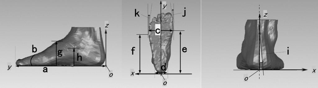J. Funct. Morphol. Kinesiol. 2016, 1 33 the most posterior point of the heel and 5 MTJ and the most posterior point of the heel, respectively.
