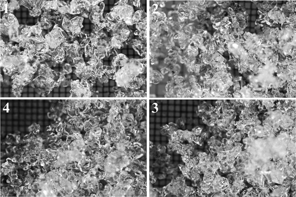 Figure 4. Microphotographs of snow grains at 40 centimeters above the soil and snow interface show the morphological trend during the spring 2008 snowmelt period at ABP. Grid size is 1 mm.