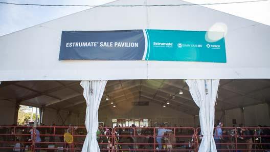 In addition, you have the opportunity to hang signage inside and outside of the tent during Expo as well as host events outside of trade show hours.