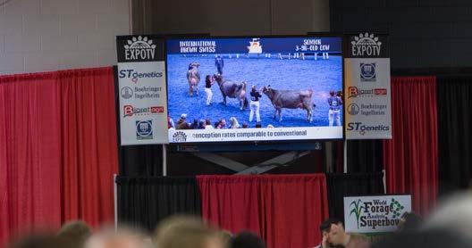 expotv ExpoTV Showring Broadcast Co-Sponsorship Cost: $12,500 Impact: At World Dairy Expo, all 68,000+ attendees will see your logo at least once, many will see your ad and logo multiple times and