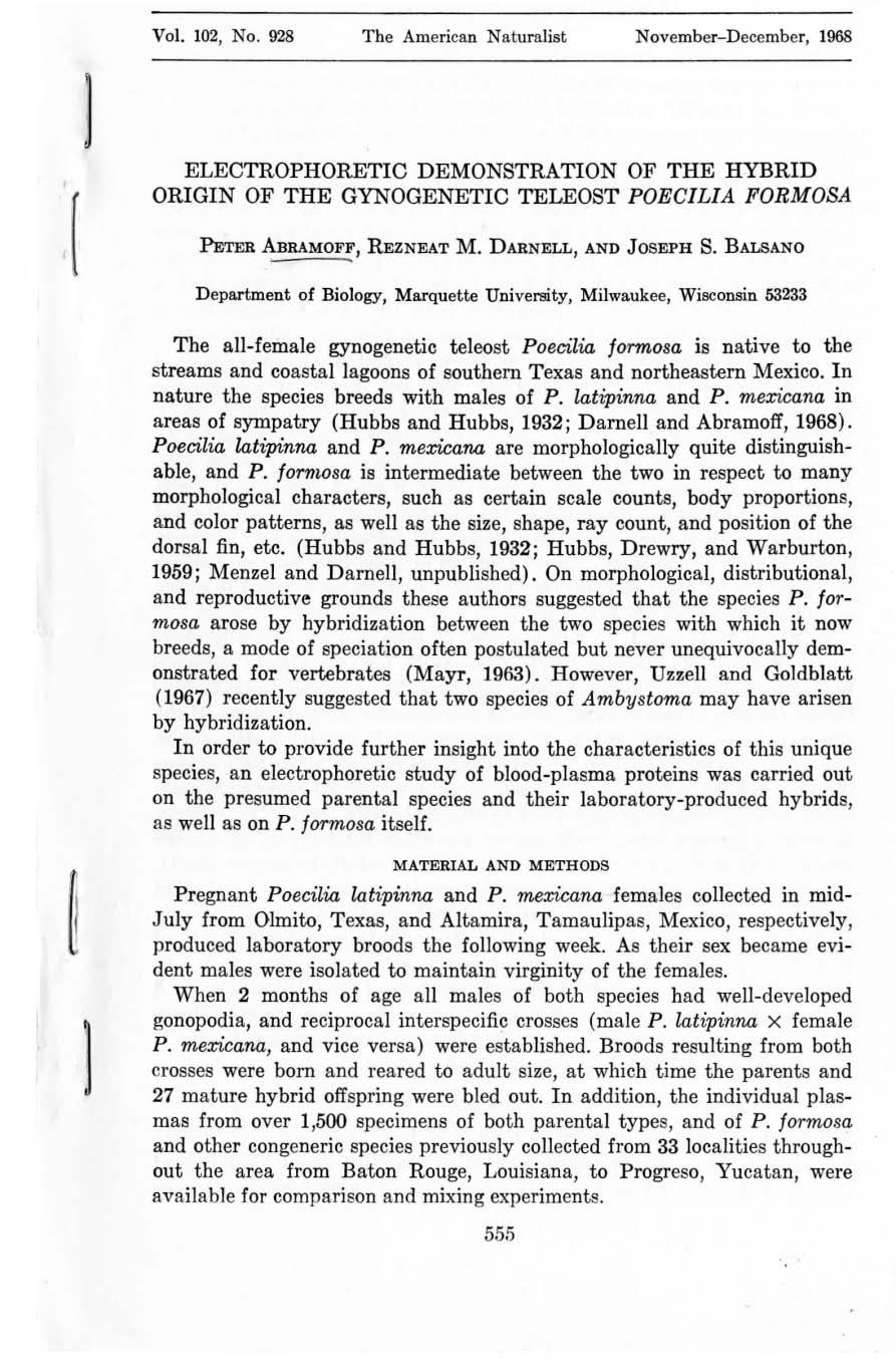 Vol. 102, No. 928 The American Naturalist November-December, 1968 1 I [ ELECTROPHORETIC DEMONSTRATION OF THE HYBRID ORIGIN OF THE GYNOGENETIC TELEOST POE CILIA FORMOSA PETER ~RAMOFF, REZNEAT M.