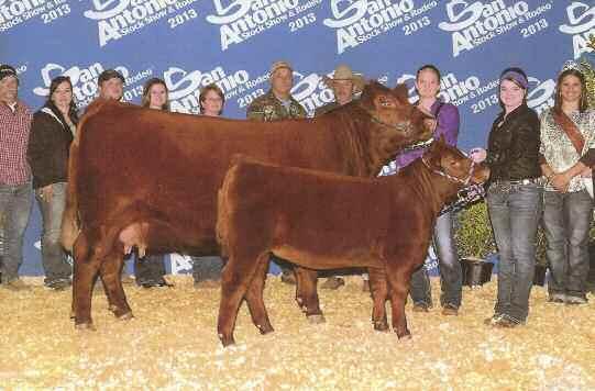 and 2013 Fort Worth Jr. Show.