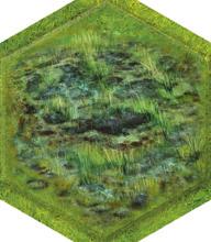 Follow-on moves are subject to the same terrain movement restrictions. Battle: A unit that moves onto a Marsh Terrain hex may still battle that turn.