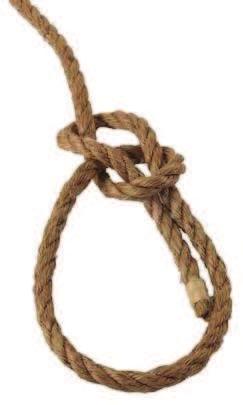 The Bowline Knot is often called the king of knots because it never jams or slips if tied correctly.