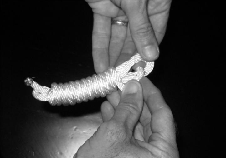 Next, hold the two loops in one hand with both rope ends exposed.