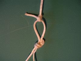 ) Now, form up the knot as shown below before sliding it down to close the loop.