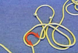 Then take the rope and fold it with the two overhand knots together. Fiador Knot 2. Now tie the fiador knot.