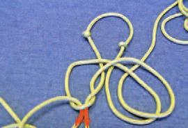 See the box on Page 3 to learn how to substitute the fiador knot.