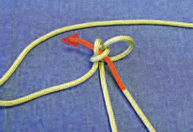 It should be 6 1/2 to 7 inches between the fiador knot to the double overhand