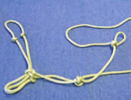 Then move the knot up or down the length of the rope until it is the right